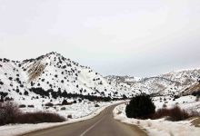 گزارش تصویری از یک روز برفی در شاهرود